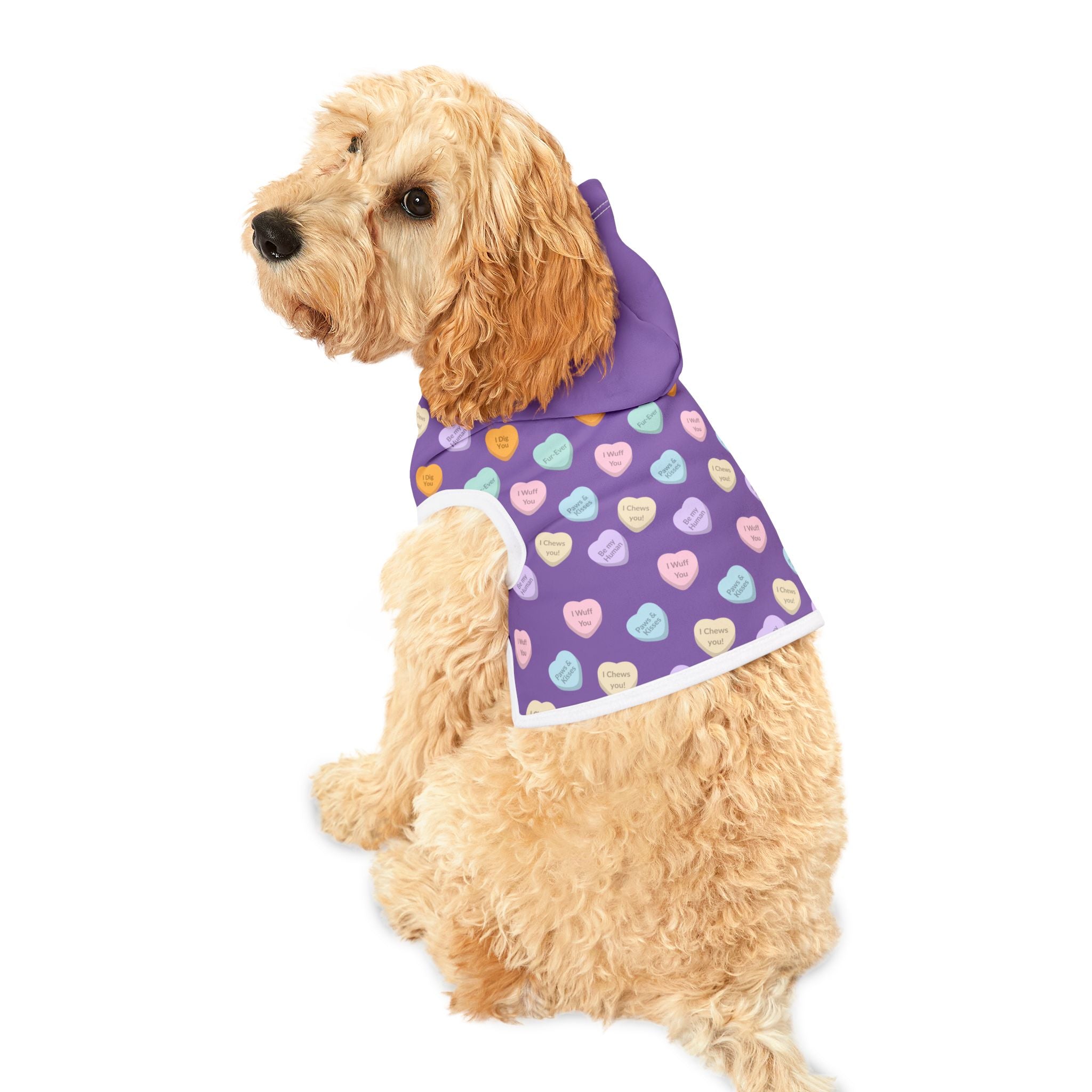 Conversation Heart Pattern Pet Hoodie | Candy Hearts Valentines Dog Hoodie